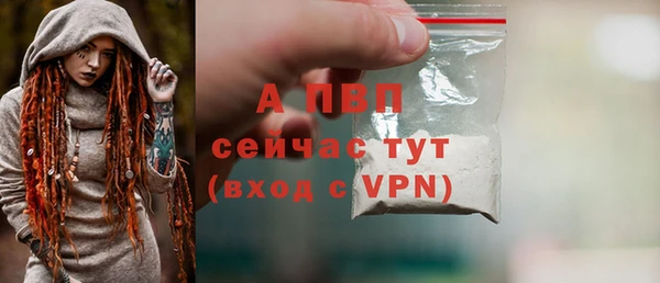 ПСИЛОЦИБИНОВЫЕ ГРИБЫ Богородицк
